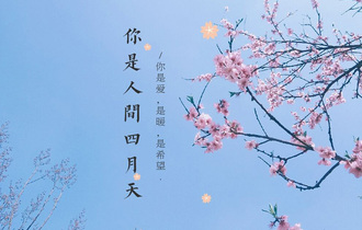 解忧邵帅你是人间四月天吉他谱g调版吉他弹唱谱吉他专家