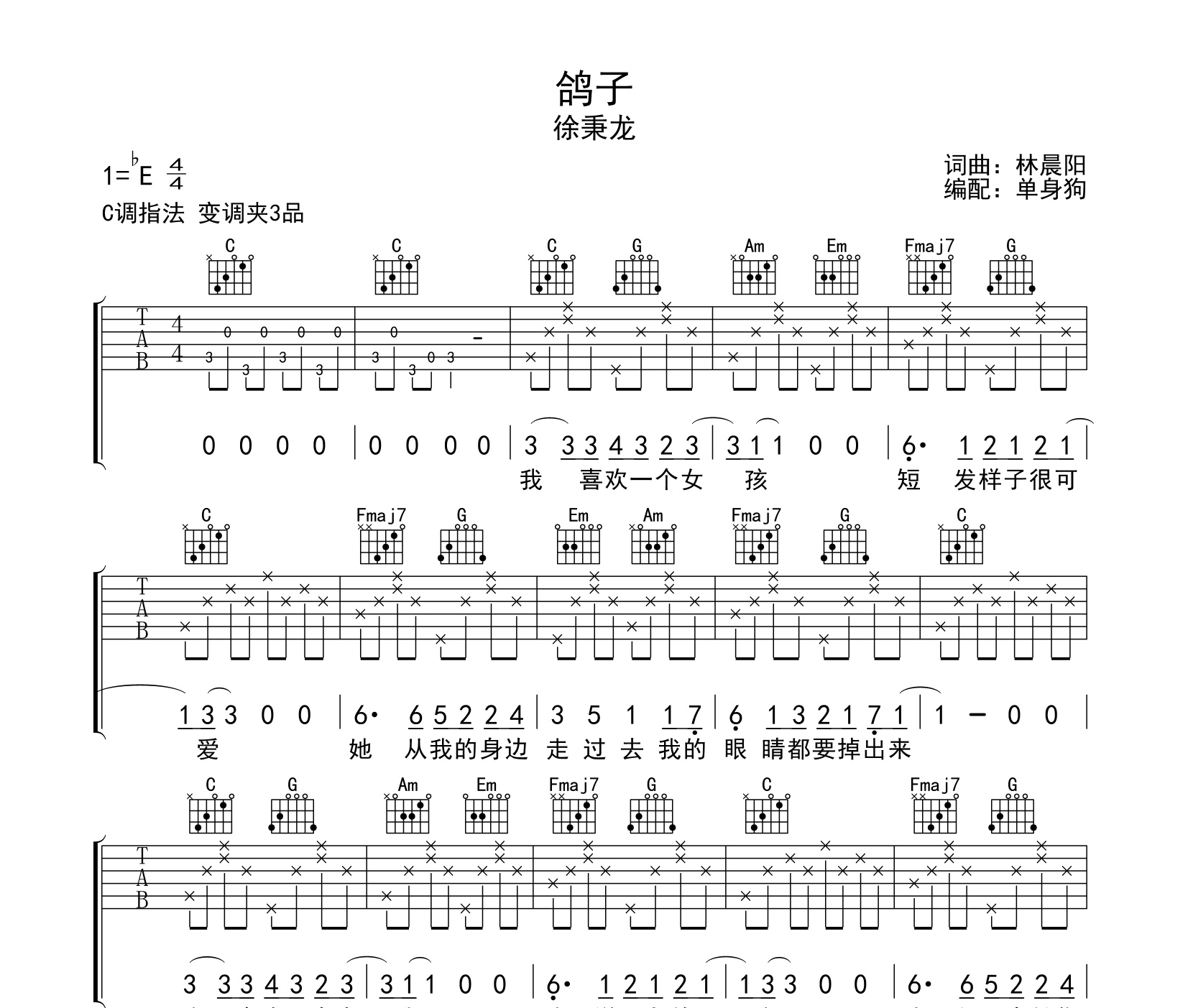 鸽子吉他谱徐秉龙c调吉他弹唱六线谱