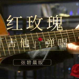 《红玫瑰》吉他谱_吉他弹唱演示视频_简单版吉他弹唱谱