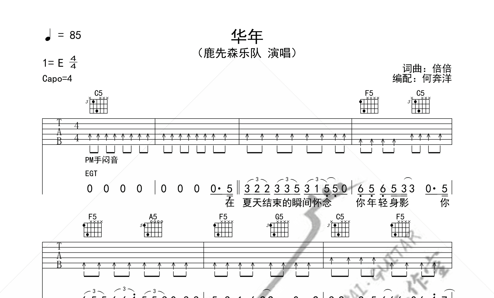 年华吉他谱预览图