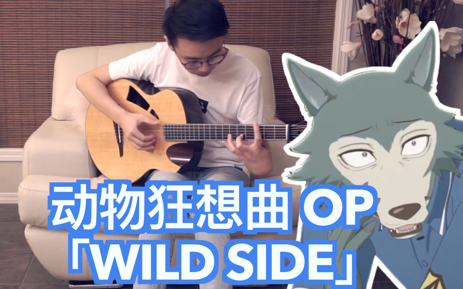 动物狂想曲OP《Wild Side》吉他谱_指弹独奏谱_指弹视频