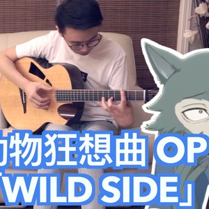 动物狂想曲OP《Wild Side》吉他谱_指弹独奏谱_指弹视频