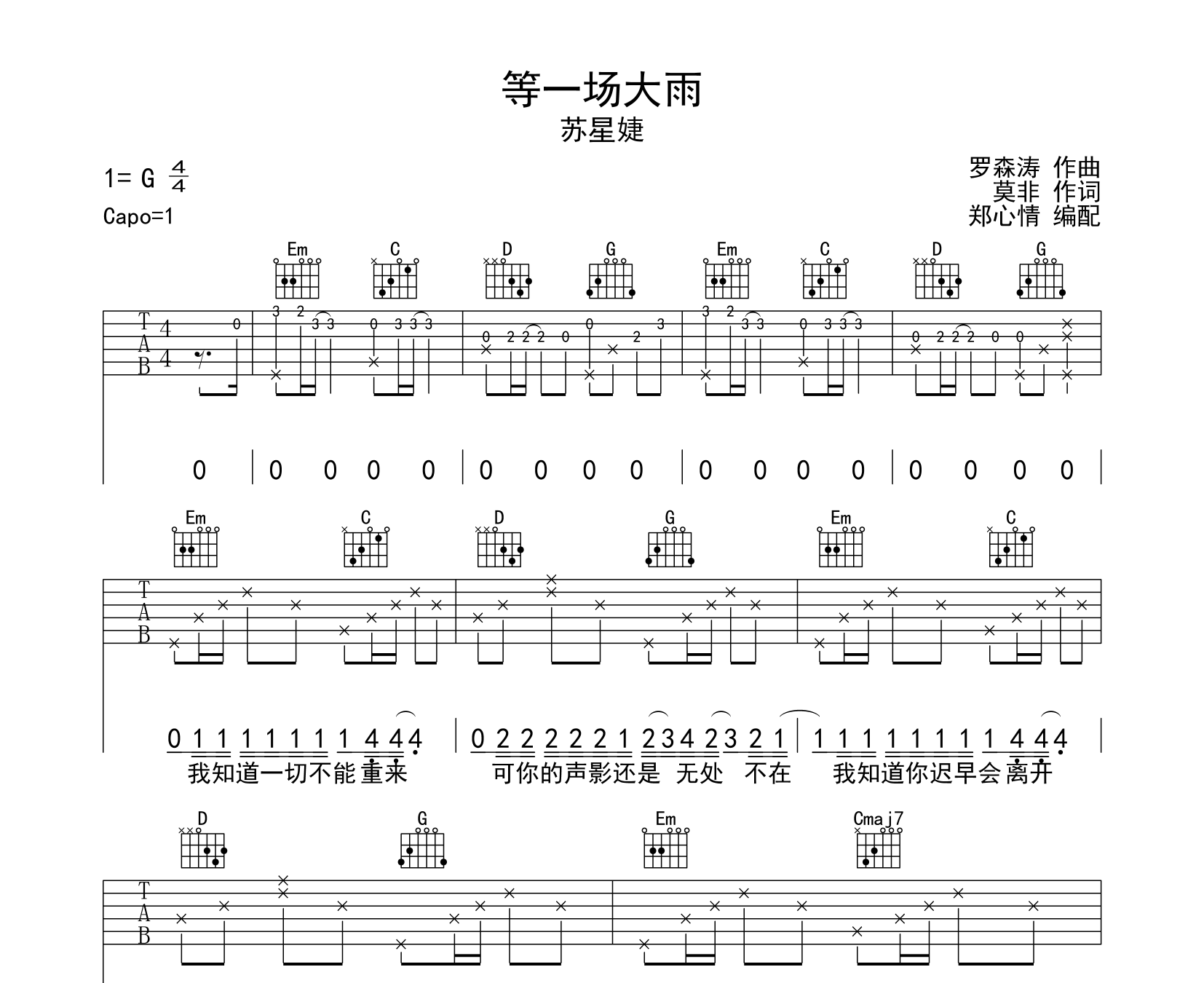 等一场大雨吉他谱预览图