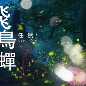 任然《飞鸟和蝉》吉他谱_G调弹唱吉他谱