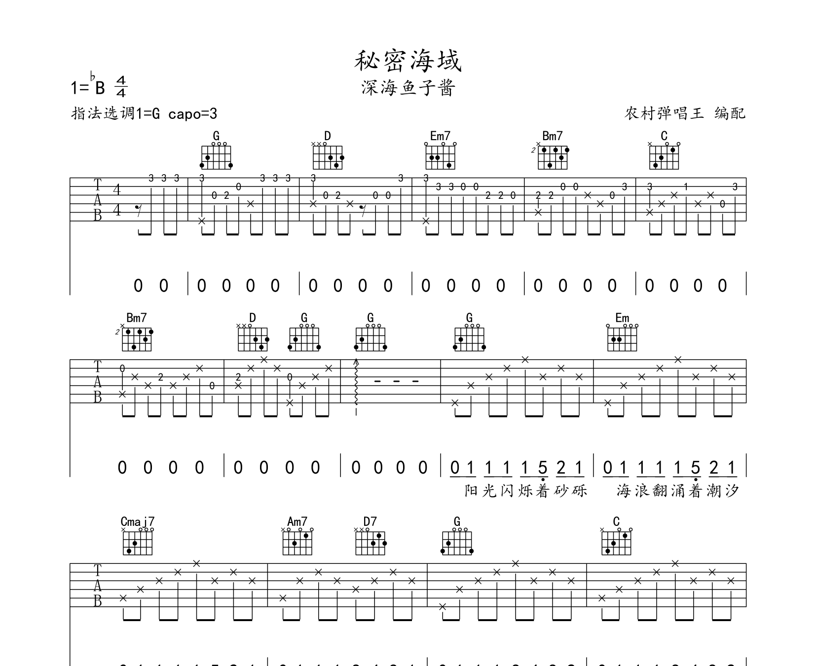 秘密海域吉他谱预览图