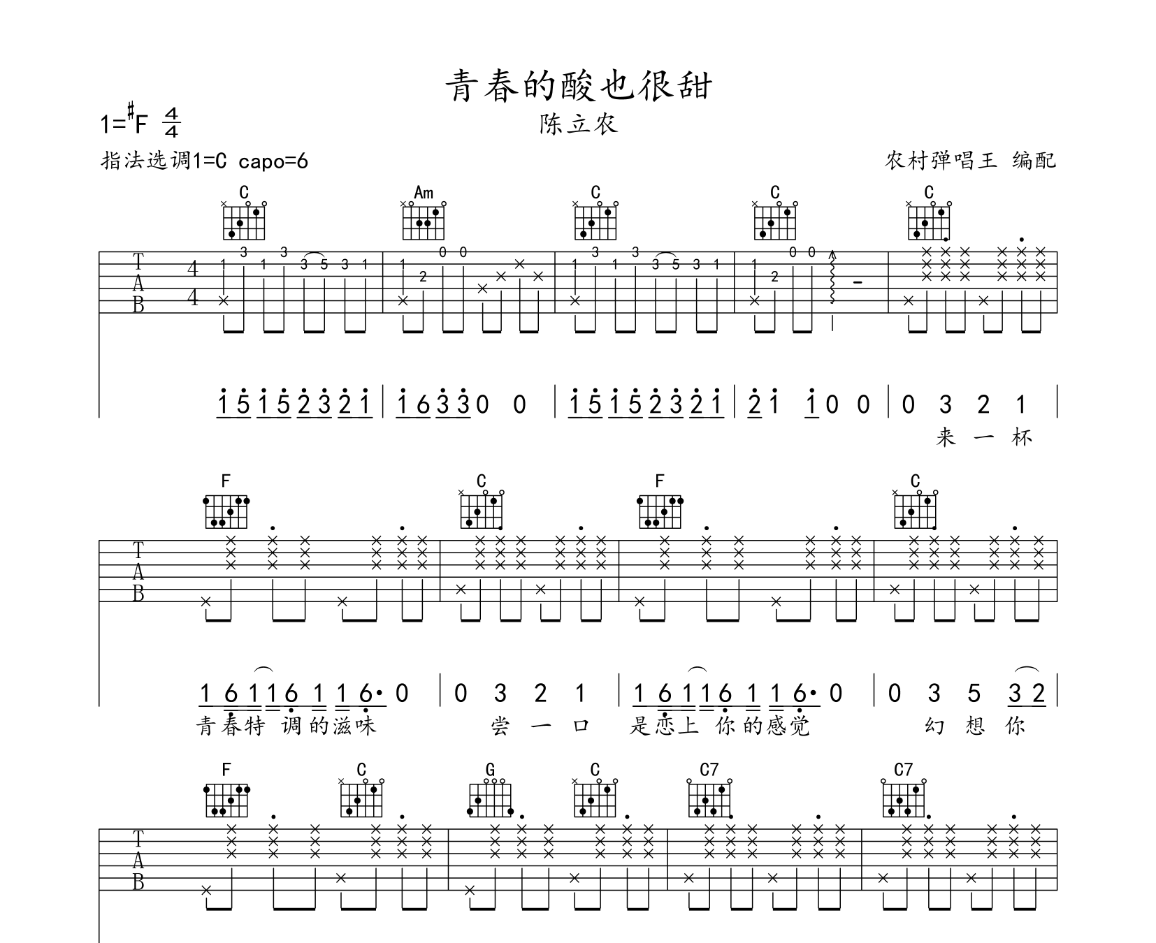 青春的酸也很甜吉他谱预览图