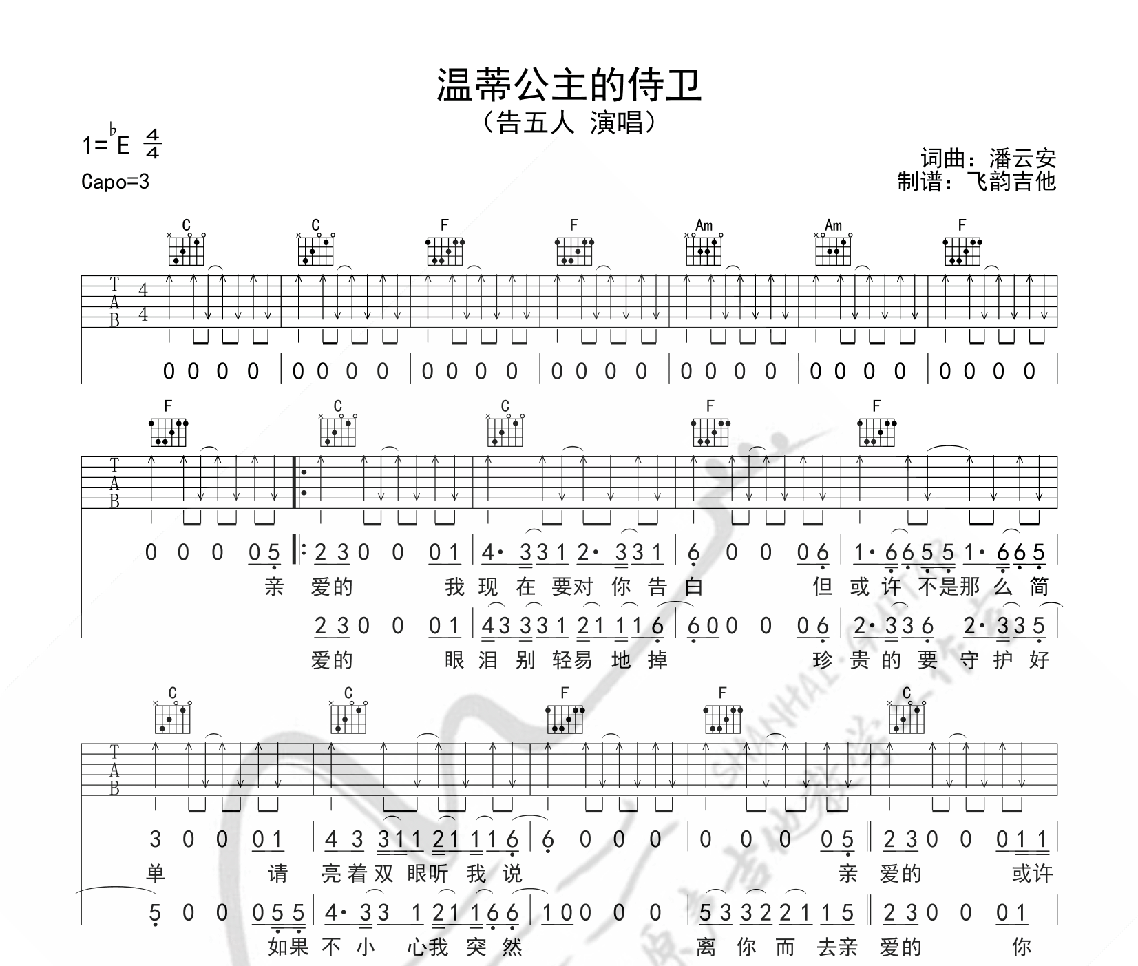 温蒂公主的侍卫吉他谱预览图