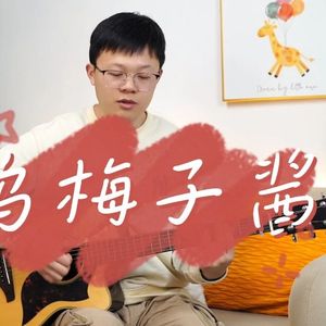 乌梅子酱吉他谱_李荣浩_G调指法编配弹唱吉他谱