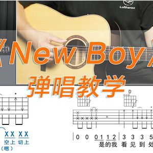 New Boy吉他谱_朴树_D调原调版吉他六线谱附吉他教程