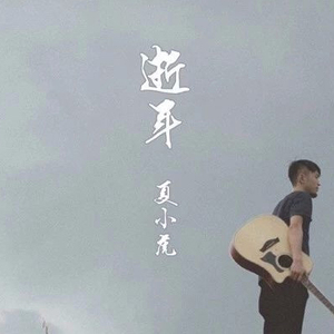 《逝年》吉他谱_夏小虎_吉他弹唱演示教程_G调六线谱
