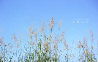 《风吹一夏》吉他谱_拍弦节奏版六线谱_G调吉他谱