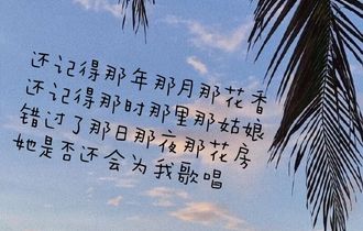 那年年少吉他谱_宋宇宁_G调编配简单版吉他谱
