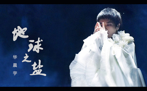 地球之盐吉他谱_华晨宇_C调指法版弹唱吉他谱