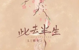 此去半生吉他谱
